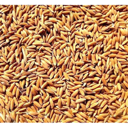 Commonly Cultivated Medium Grain Pure And Dried Paddy Rice