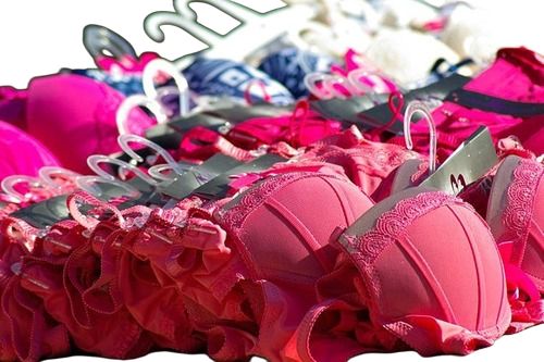Ladies Bra