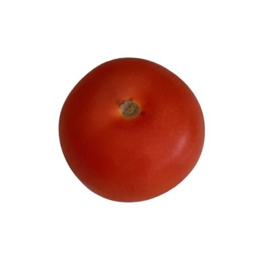 A Grade Indian Origin Naturally Grown Round Farm Fresh Red Tomatoes