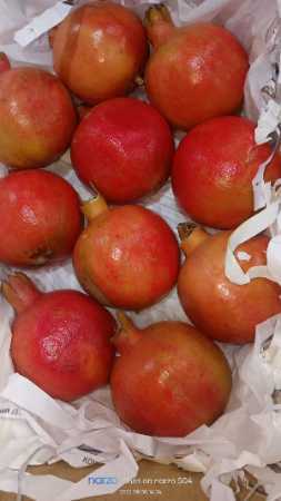 Common Fresh Sweet Pomegranate Fruit