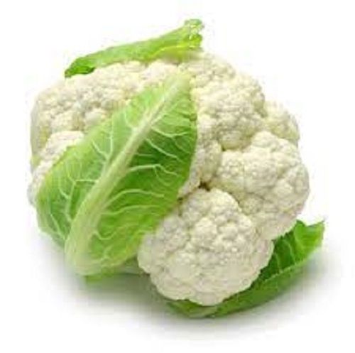 Round Shape Healthy Fresh Raw Cauliflower 