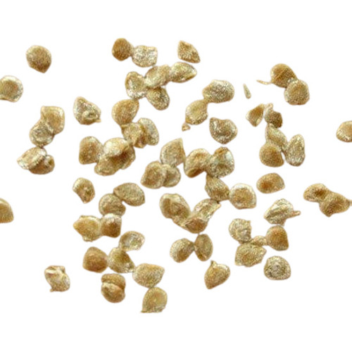 शुद्ध और सूखे सामान्य रूप से उगाए गए टमाटर के बीज का मिश्रण (%): 1%