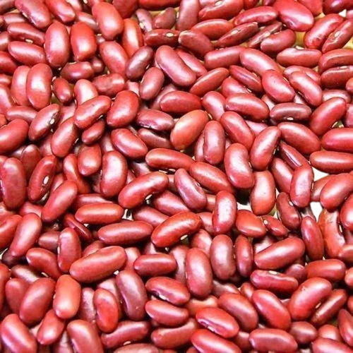 Commonly Cultivated Pure And Dried Kidney Beans Broken Ratio (%): 0.05%