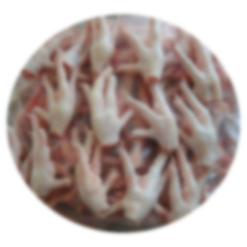 Automatic Hygienically Processed Frozen Top Grade Chicken Feet