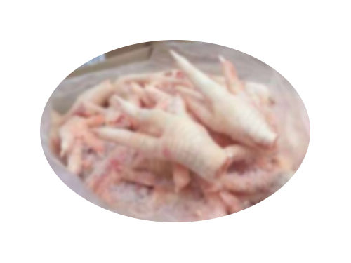 Top Grade Smell Free Chicken Feet