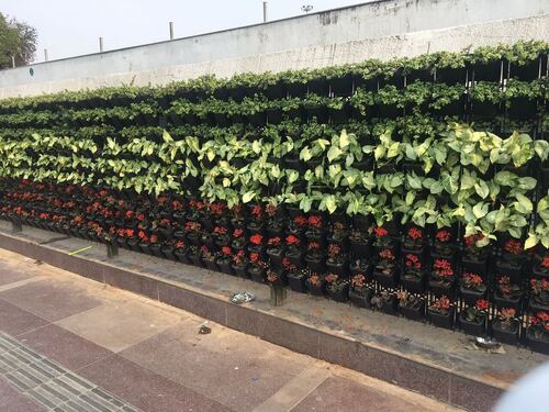 Black And Green Colour Green Wall