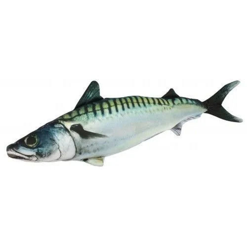 Dried Style Filament Shape Indian Mackerel Fresh Fish For Protein And Iodine Requirements