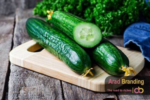 Chemical Free Green Organic Cucumber Moisture (%): 97%