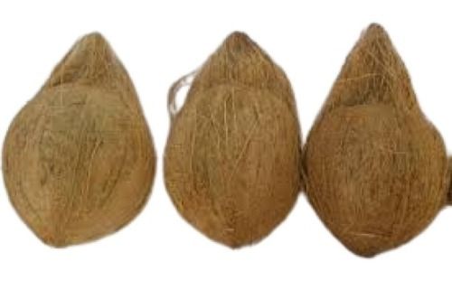  फुल हस्केड होल ड्राइड 1 किलो आमतौर पर उगाया जाने वाला टेस्टी फार्म फ्रेश नारियल