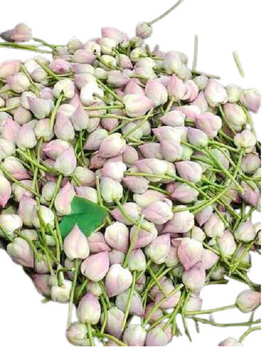 A Grade 99.9% Pure Natural Insect Resistant Lotus Flower For Decoration Application: Industrial