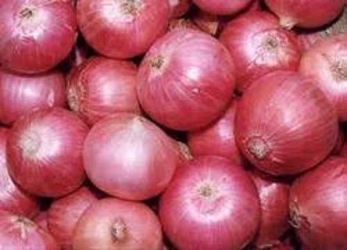 Farm Fresh Naturally Grown Round Raw Onion