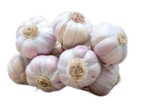 Farm Fresh Dried Processed Round Healthy Raw Garlic Moisture (%): 1.85G