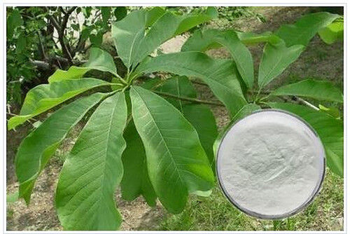 Magnolol 50%/95% Cas 528-43-8 Magnolia Officinalis Extract Powder