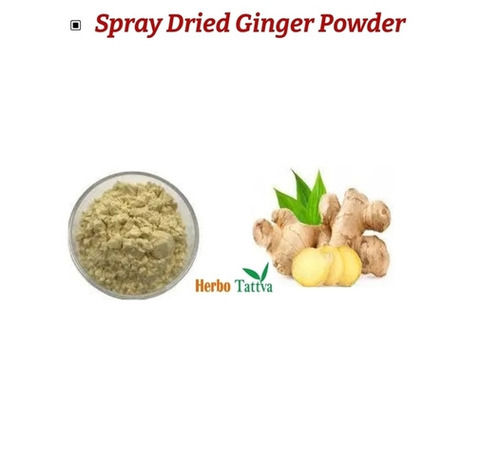 100% Pure No Additive Light Brown Spray Dried Ginger Powder
