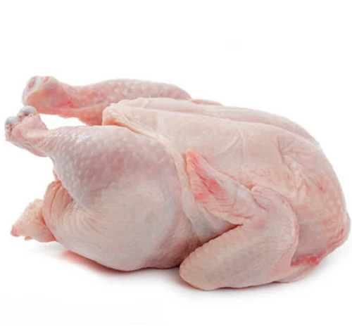 Halal Broiler Chicken
