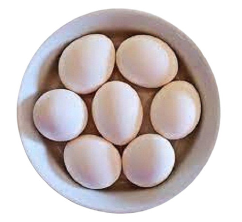 Organic Eggs - White Oval Shape, 100% Pure Premium Quality | High In Protein, Nutrition Enriched, Hygienic, Fresh, Easy To Cook
