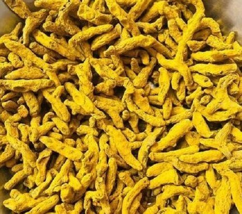 Premium Quality And Natural Pure Turmeric