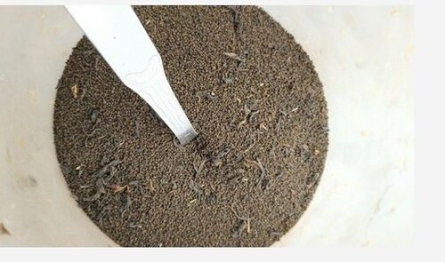 Brown Natural Organic Assam Tea With 1 Year Shelf Life