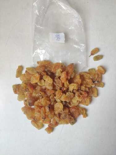 Golden round Raisins