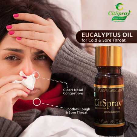 100% Natural And Pure Eucalyptus Oil Purity: 99