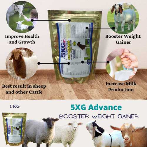 animal feed supplements