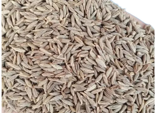 Brown Dried Raw Cumin Seeds With 6 Months Of Shelf Life