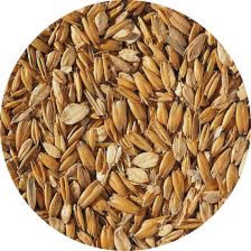 शराब बनाने और खाद्य उद्योगों के लिए टॉरफाइड जौ के गुच्छे एडिटिव्स: ना