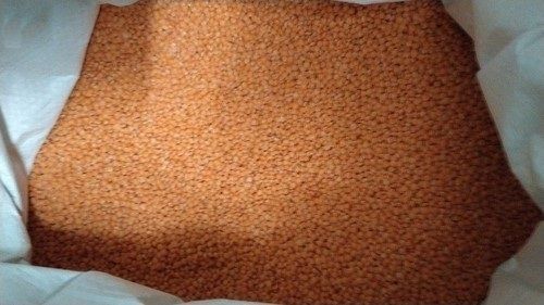 Red Colour Masoor Dal With 1 Year Shelf Life