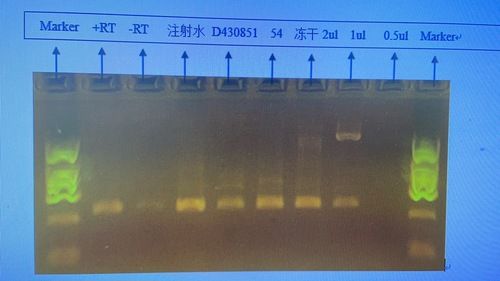 enzymes