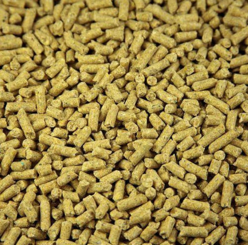 Healthy Nutrition And Protein Cattle Feed Granule With 11% Moisture Ash %: 10%