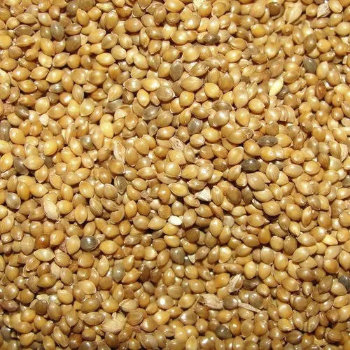 90% Pure Dried 3% Mixture Hard Organic Millet  Broken Ratio (%): 1%