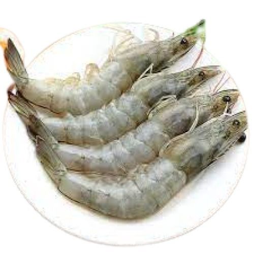 Rich In Protein Whole Fresh Prawn