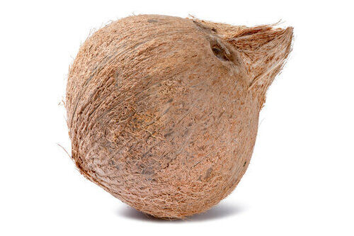 Economical Export Quality Semi Husked And Tender Coconut