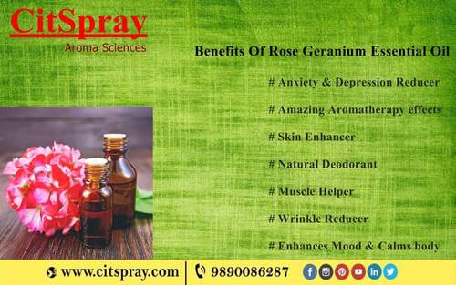 100% Pure Natural Geranium Oil