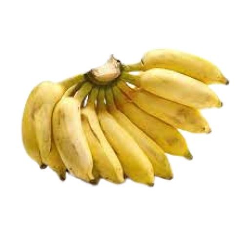  Indian Origin Sweet Yellow Rasthali Banana
