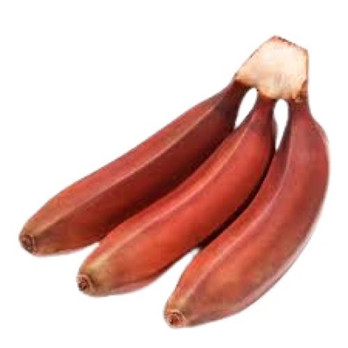 Indian Origin 6 Inch Size Curved Shape Red Banana