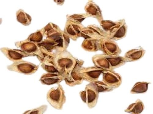 Healthy A Grade Brown Drumstick Seeds