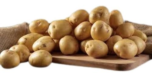 Oval Shape Naturally Grown Fresh Potato