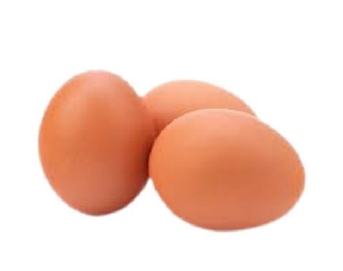 Brown Poultry Chicken Fresh Egg Egg Size: Standard