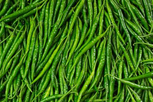 Indian Origin Naturally Grown Fresh Green Chilli