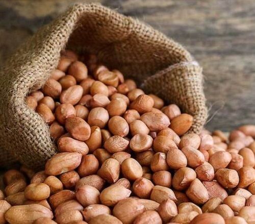 Groundnut 100 Percent Pure And Dried Oval Shape A Grade Ground Nuts