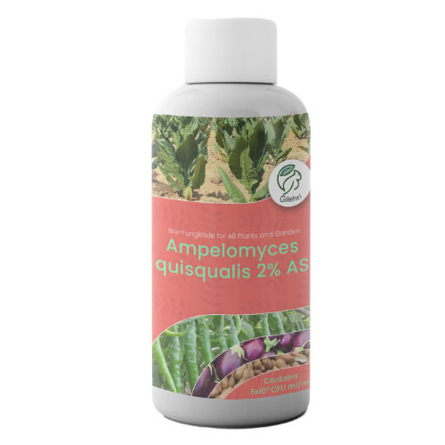 Gilehri Ampelomyces Quisqualis Bio Liquid Fungicide Powerful Organic Controller of powdery mildew disease for All Plants Recommended by NPOP for Organic Farming (2 x 10^8 CFU ml/min)