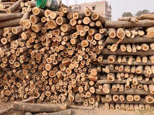 Solid Fire Wood Logs