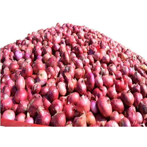 Pure Natural Fresh Red Onion