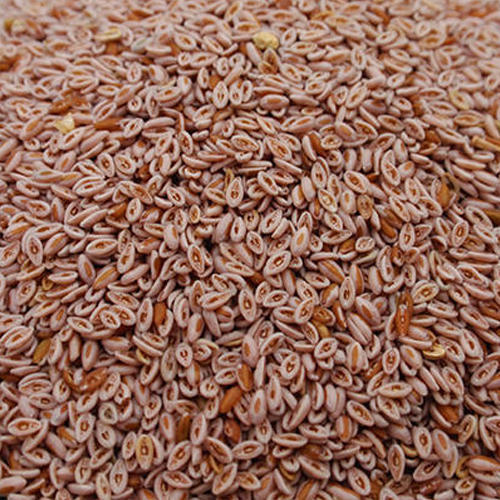 A Grade Psyllium Husk Seed