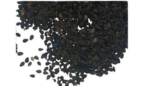 Healthy And Nutritious Black Sesame Seeds
