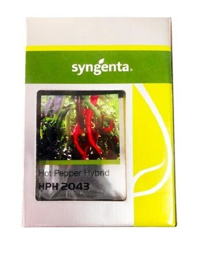 Syngenta HPH-2043 Chili Seeds