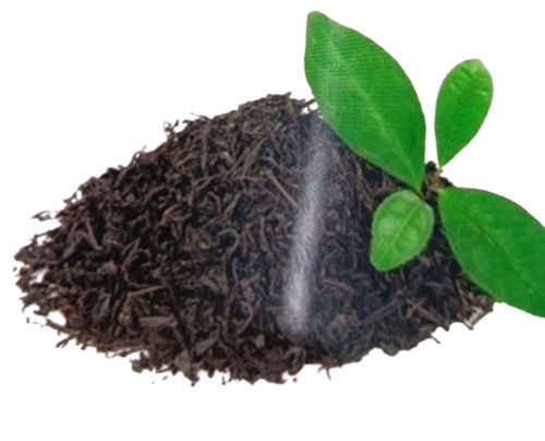 100% Pure Organic And Natural Assam Tea