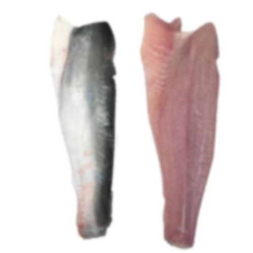 Frozen Grey Mullet Fish Fillet Seafood
