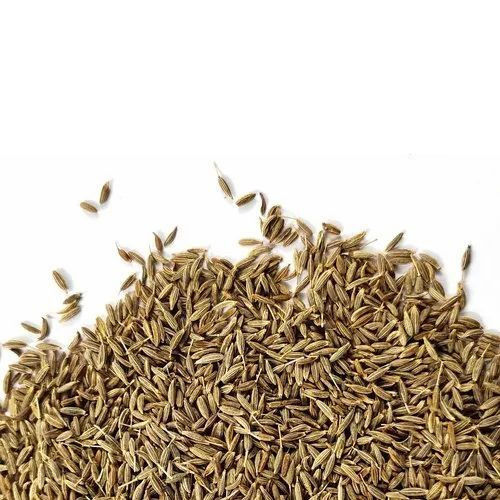 Export Quality Dried and Cleaned Cumin Seed